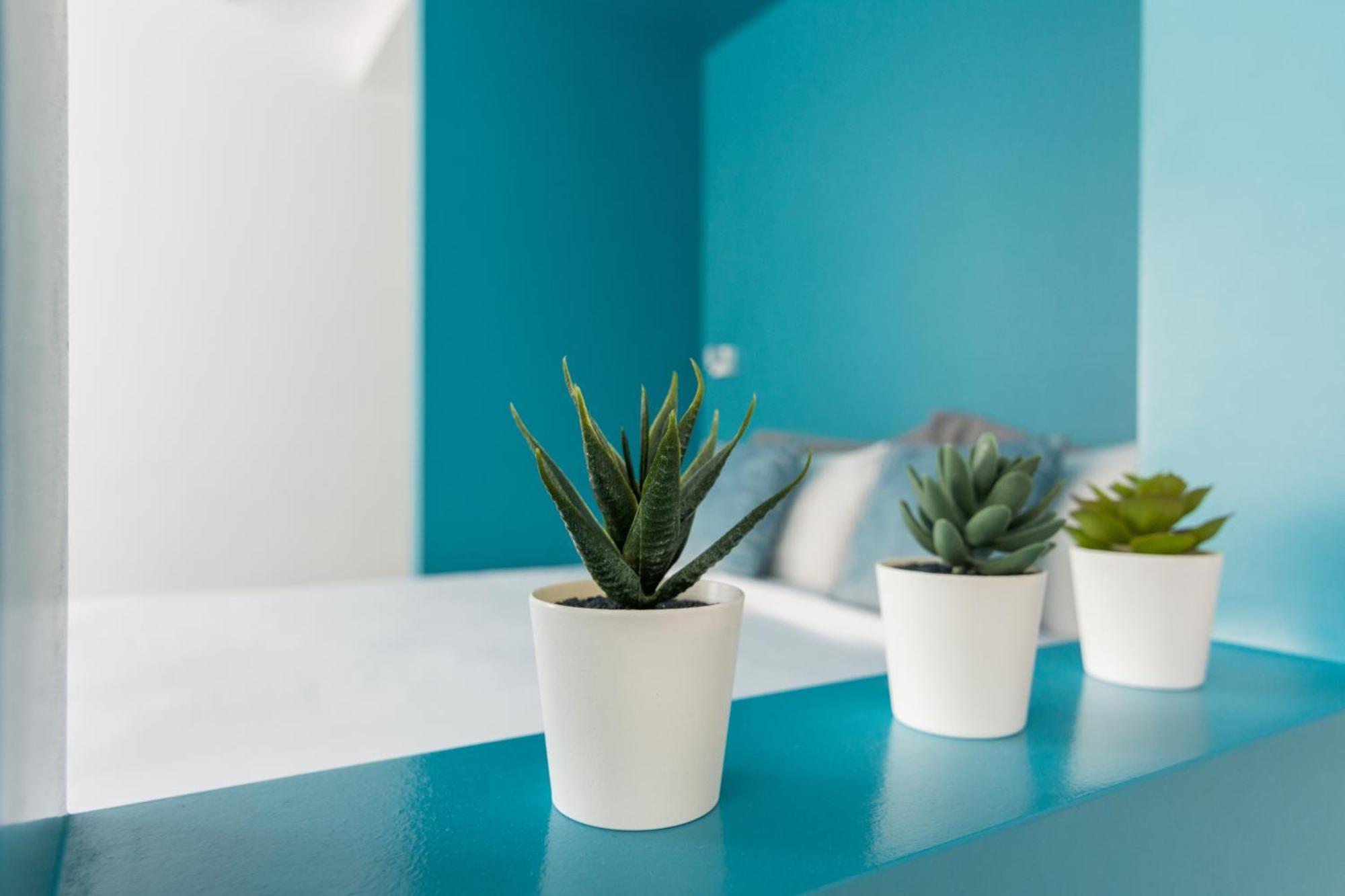 Athens Color Cube Apartment Room photo